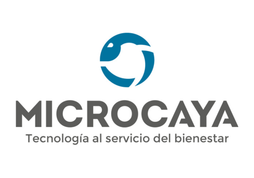 MICROCAYA